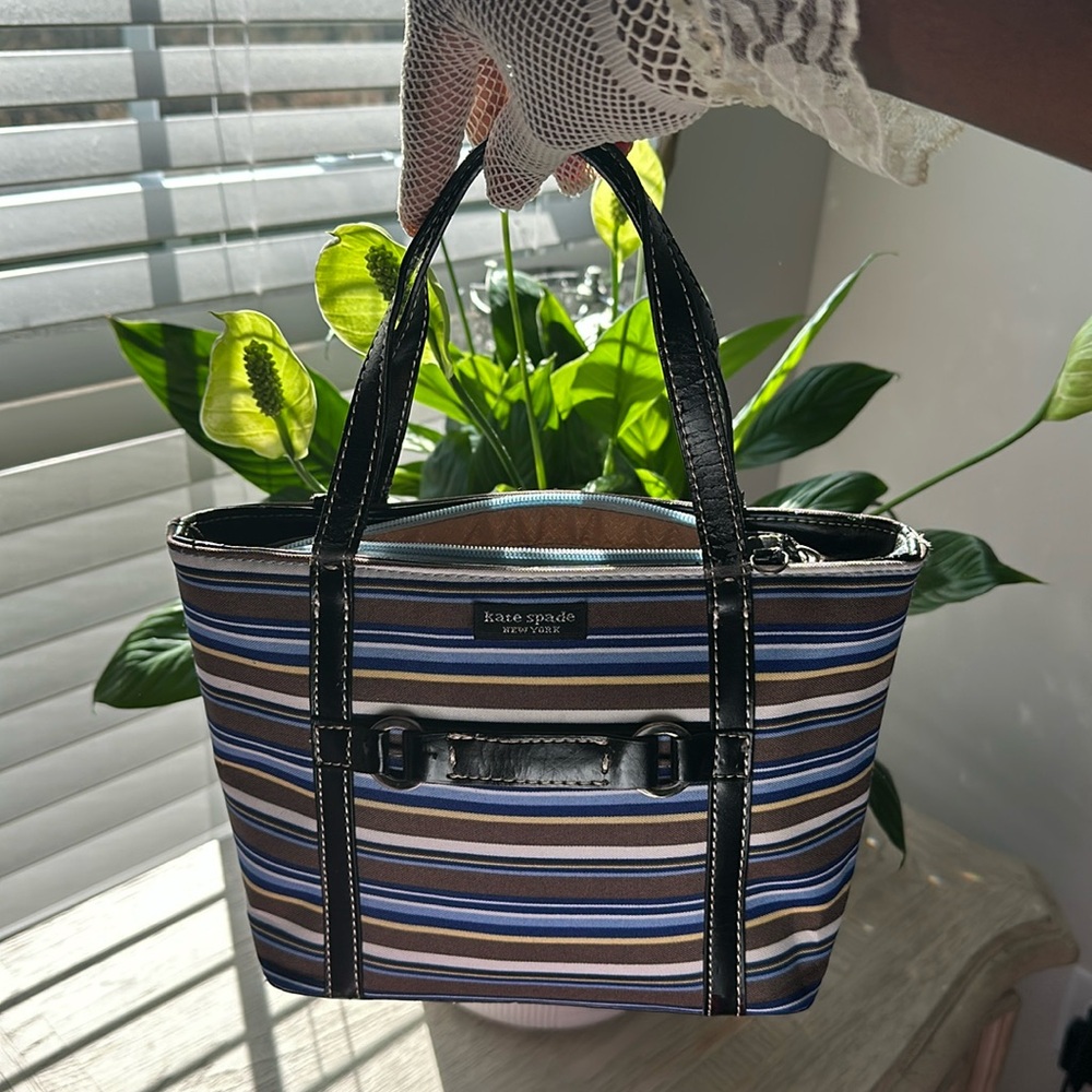Kate spade mini bag